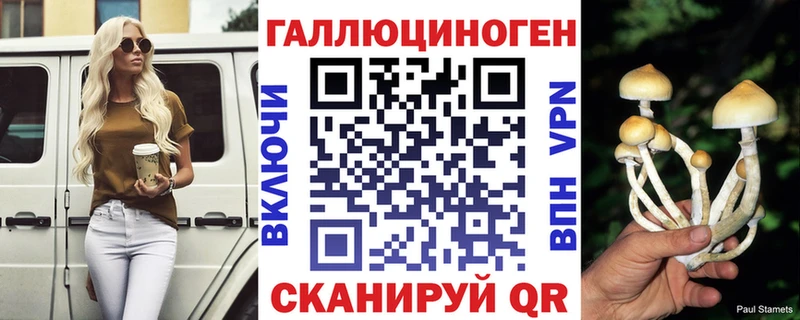 что такое   Подольск  Псилоцибиновые грибы Cubensis 