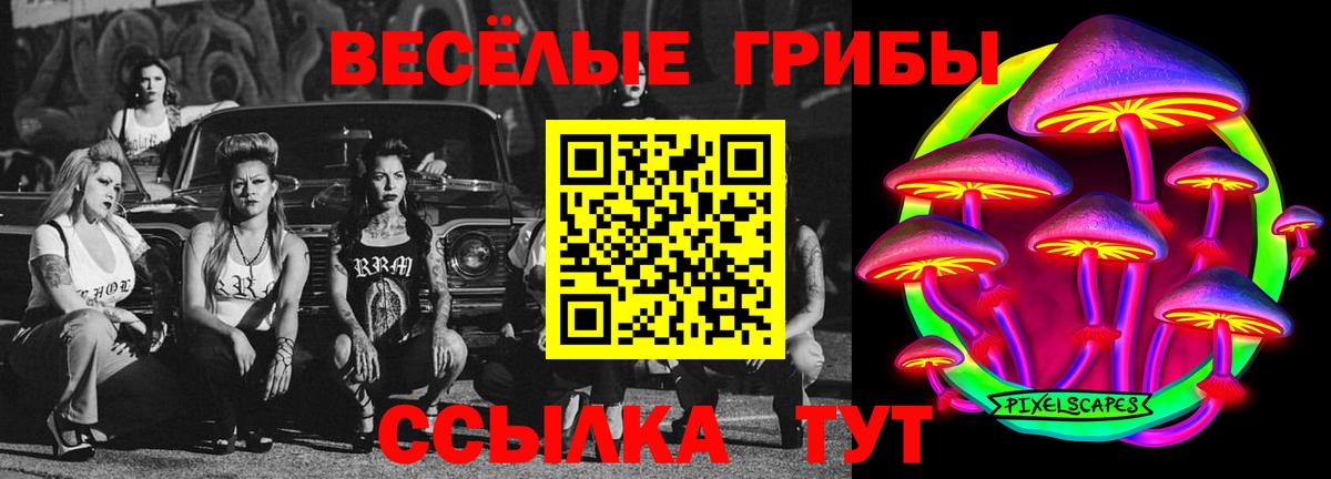 Псилоцибиновые грибы MAGIC MUSHROOMS Подольск